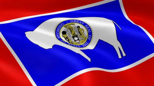 The Wyoming flag showing the seal of Wyoming and illustrates PSWI services for a Secretary of State Business Search and other Record Searches and Research Services